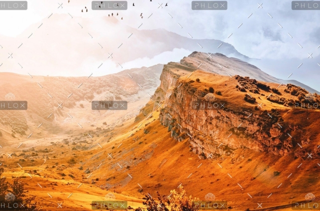 demo-attachment-47-rauf-mekhraliev-1099154-unsplash